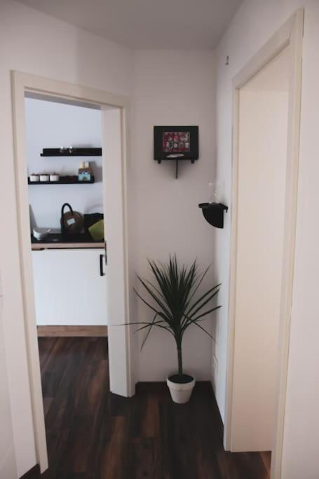 Schoene Wohnung Top Lage Koeln Work & Relax & Travel Frechen Exteriér fotografie
